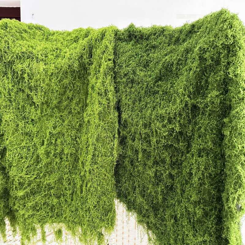 Sợi Rêu Rối Trang Trí Tiểu Cảnh (Túi 1Kg) 2 Sợi Rêu Rối Trang Trí Tiểu Cảnh (Túi 1Kg) - Ảnh 2