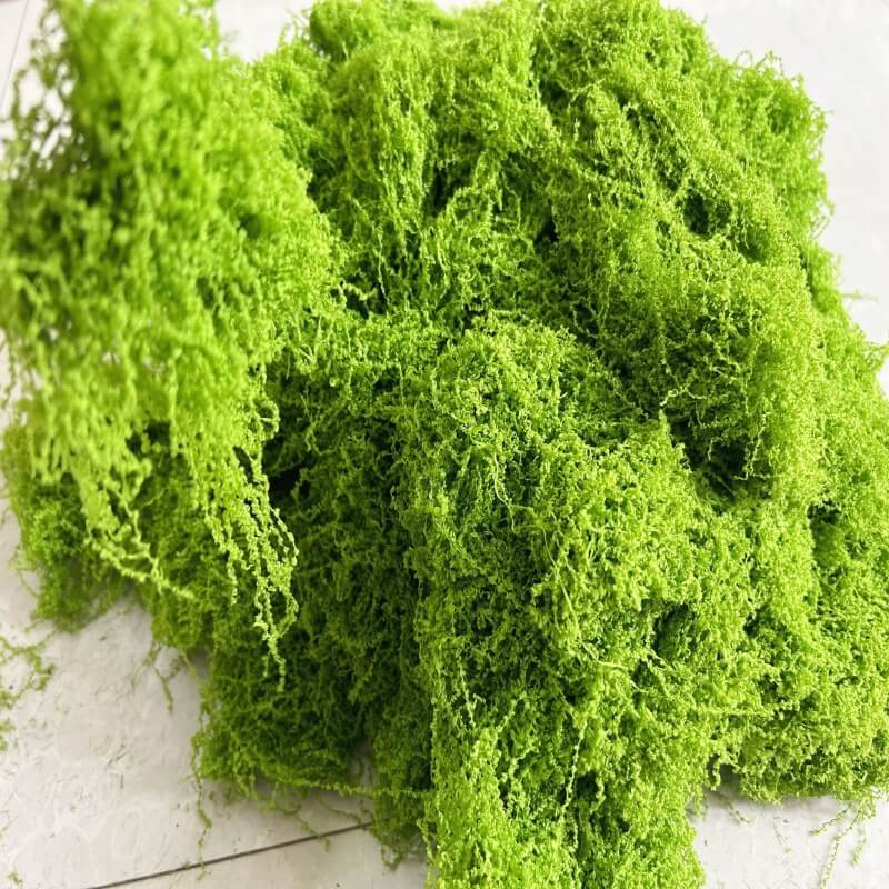 Sợi Rêu Rối Trang Trí Tiểu Cảnh (Túi 1Kg) 1 Sợi Rêu Rối Trang Trí Tiểu Cảnh (Túi 1Kg)