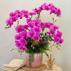 Hoa Lan Hồ Điệp Giả – Vẻ Đẹp Thanh Lịch Cho Mọi Không Gian